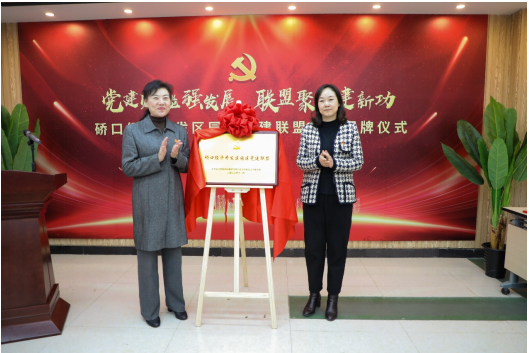 <strong>湖北省武汉市硚口经济区园区党建联盟揭牌</strong>