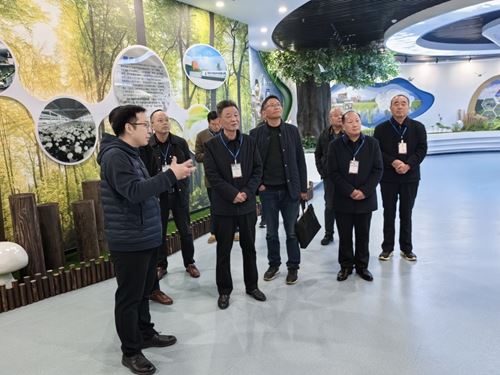 叶晓飞：十八年助农路温暖人心照亮致富光