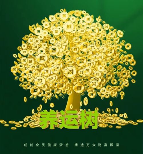 养运树与九紫离火运的奇幻传说