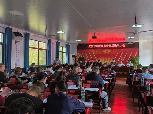 武冈市秦桥镇丨商会换届迎新貌 政企同心谋发展