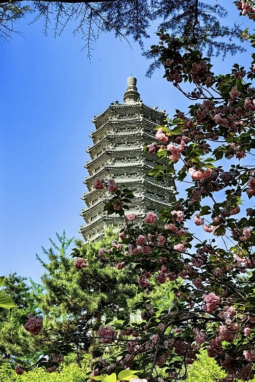 05.jpg