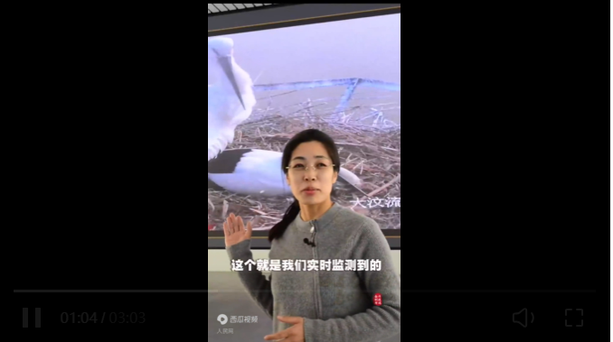 大河之洲：绘就生态新画卷