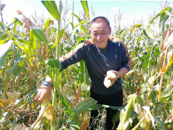 长子营打造微型循环农业新样板 助力乡村振兴