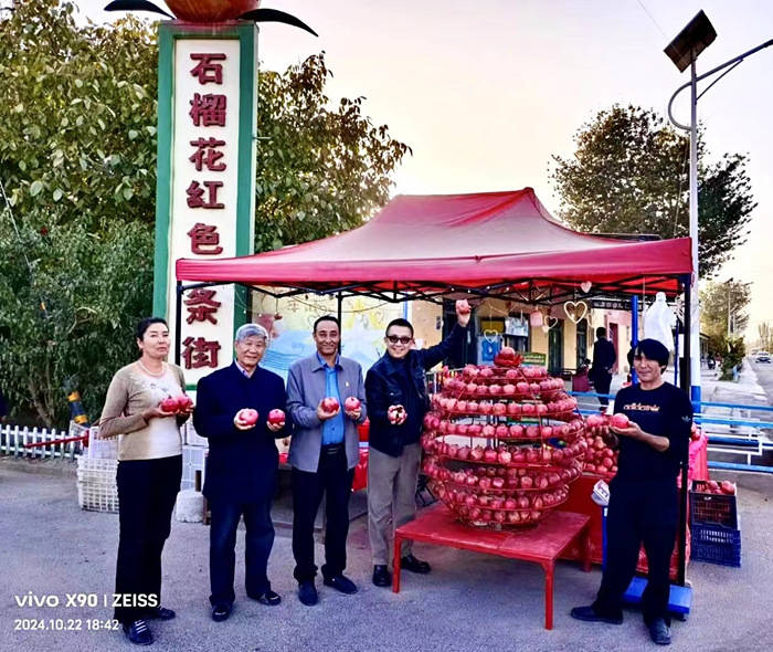 “金石榴”走进石榴籽村 