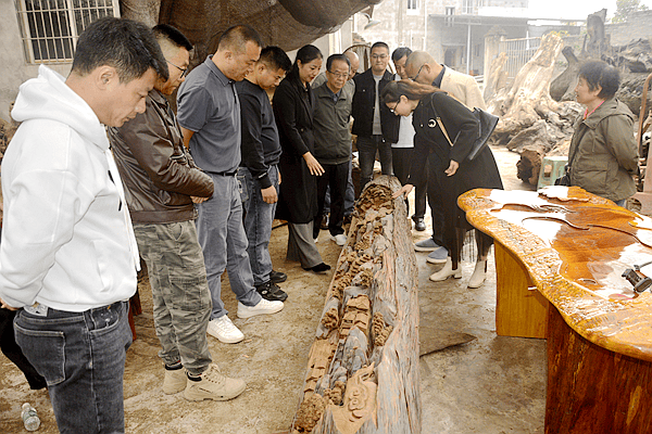 重庆市涪陵区乌木文化研究会 探索乌木之美传承文化之韵