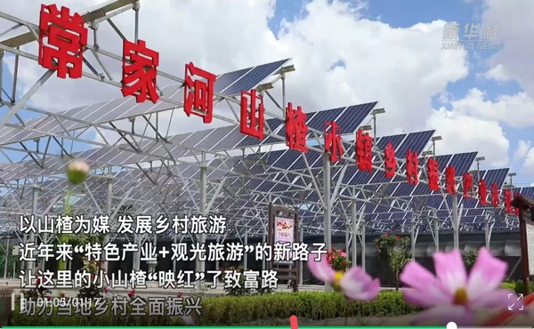 甘肃省乡村发展促进会深入通渭县考察调研常河山楂小镇扶贫模式