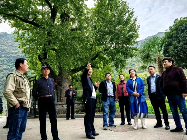 孙毅:陕甘川蜀道青泥岭唐诗之路文物遗址保护提升联合考察纪实