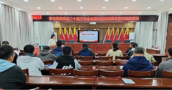 安徽省太和县原墙镇多举措深入学习宣传党的二十届三中全会精神