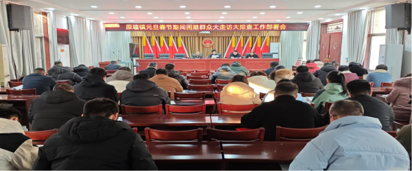 安徽太和县原墙镇多举措开展春节期间困难群众大排查大走访工作