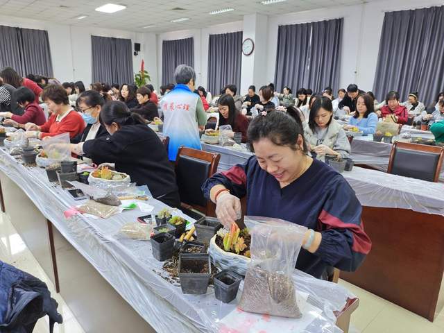 巧手逸趣，巾帼庆“三八”