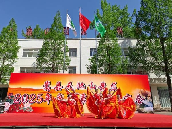 半亩方塘一鉴开 天光云影共徘徊 嵩县天池山2025年免门票政策发布会圆满收官