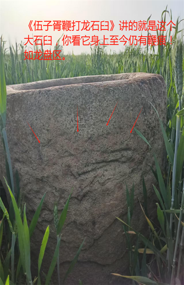 图片4.png