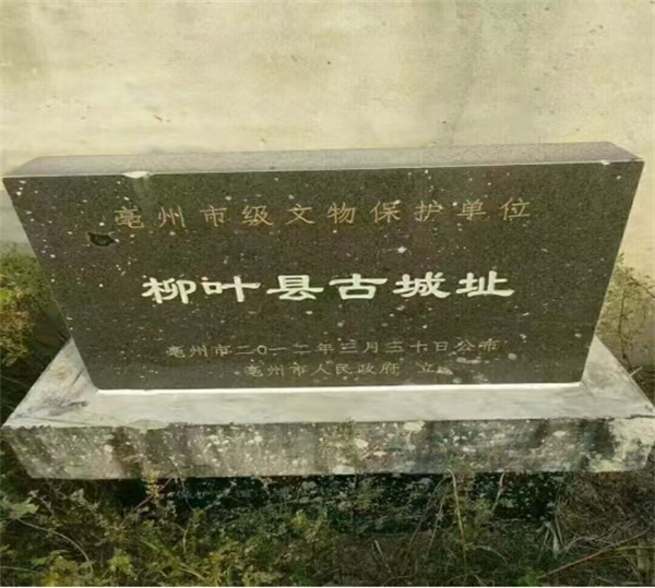 龙石记 ——伍子胥鞭石留龙影