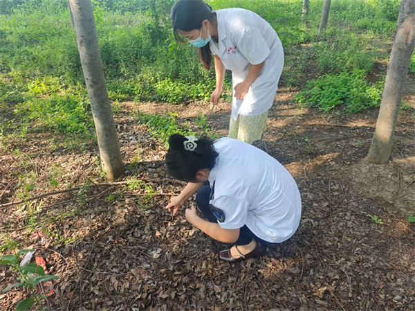安徽省太和县疾控部门发布紧急警示：“雨后蘑菇勿采食！当心有毒！