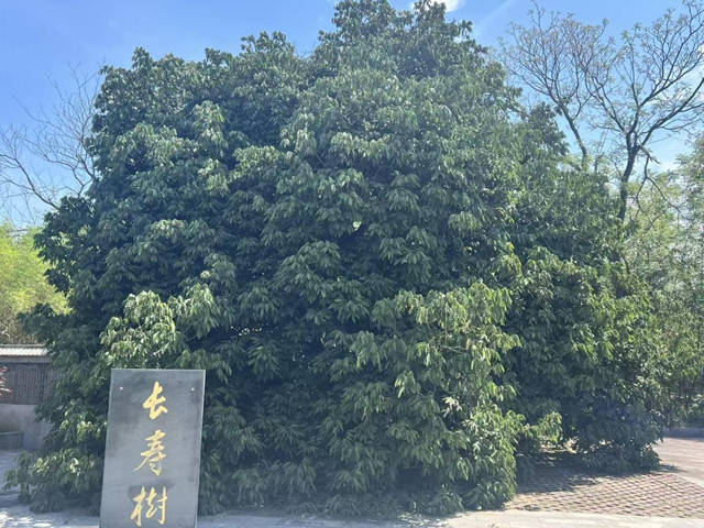 图片 6.jpg