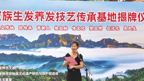 图片11.png