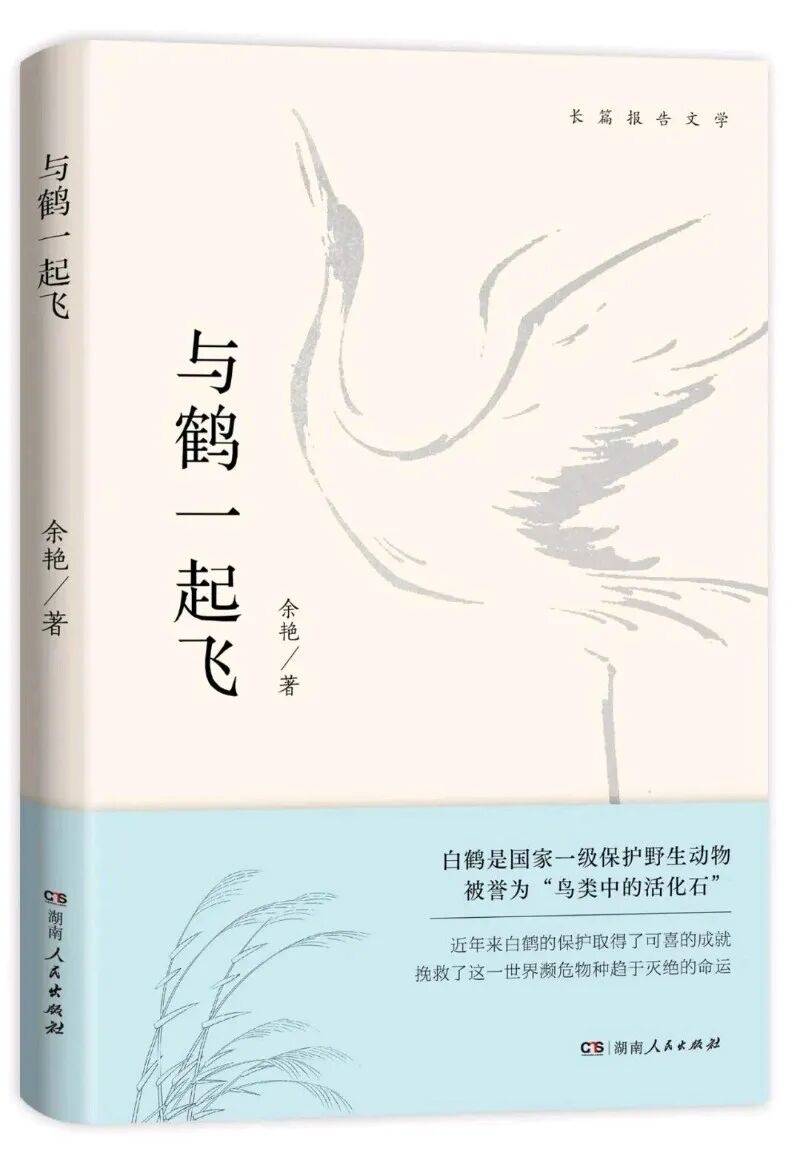 文章配图-2