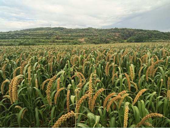95aadbda-3352-4504-895f-c6b52c35a891.png