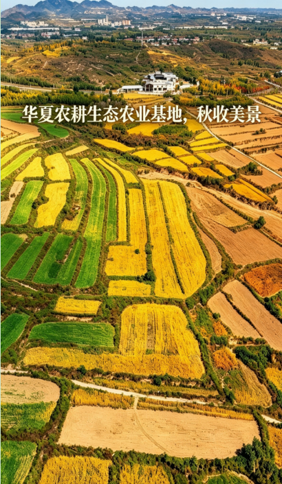 3f461db5-f84a-4ae0-bd64-b00f51a9768a.png