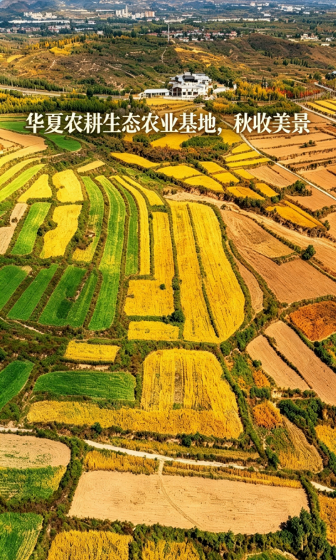 27cfe076-4357-453f-b46b-6b8e2ece45c1.png