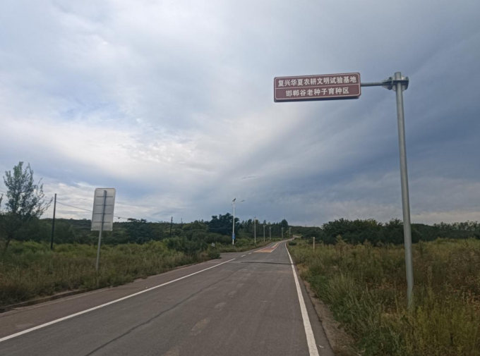 霜雨润小米故乡 邯郸谷畔启新耕