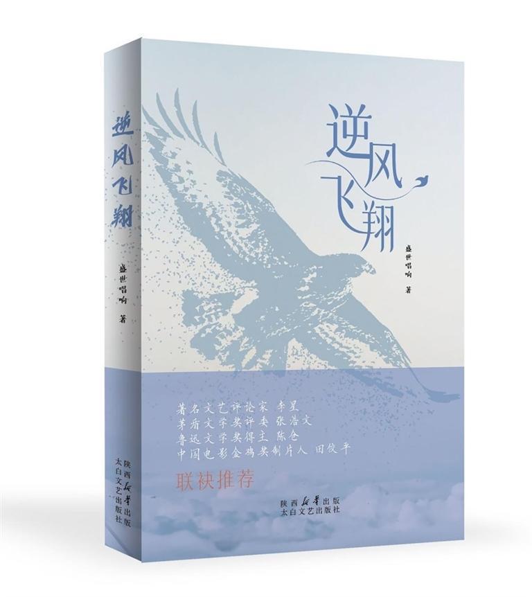 陕西青年作家刘俊锋长篇小说《逆风飞翔》出版